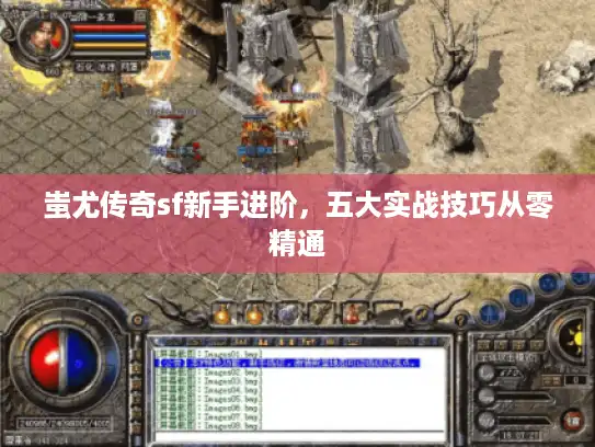 蚩尤传奇sf新手进阶，五大实战技巧从零精通