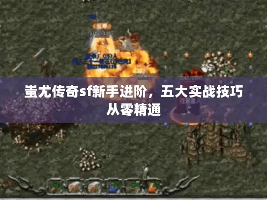 蚩尤传奇sf新手进阶，五大实战技巧从零精通