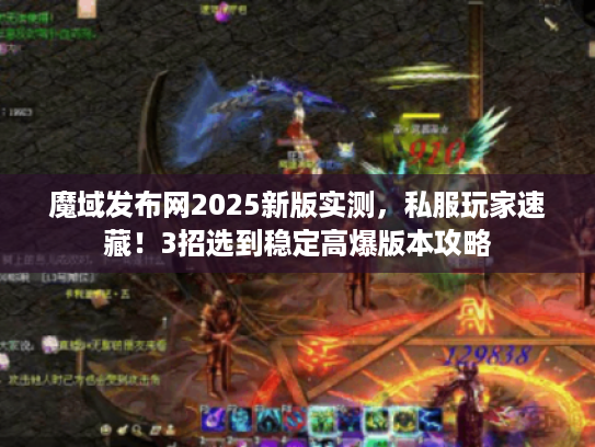 魔域发布网2025新版实测，私服玩家速藏！3招选到稳定高爆版本攻略