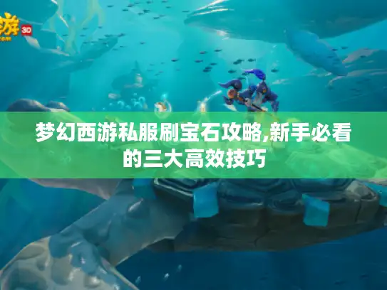 梦幻西游私服刷宝石攻略,新手必看的三大高效技巧