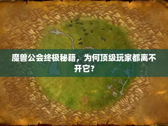 魔兽公会终极秘籍，为何顶级玩家都离不开它？