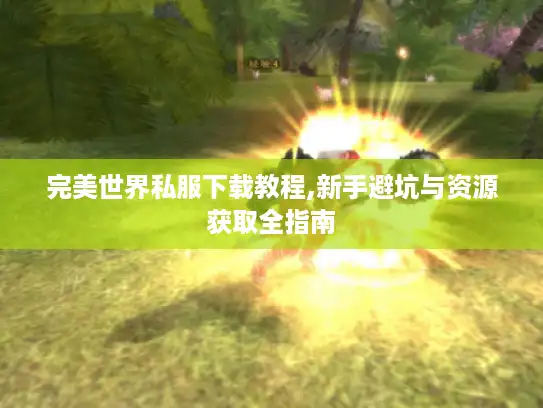 完美世界私服下载教程,新手避坑与资源获取全指南