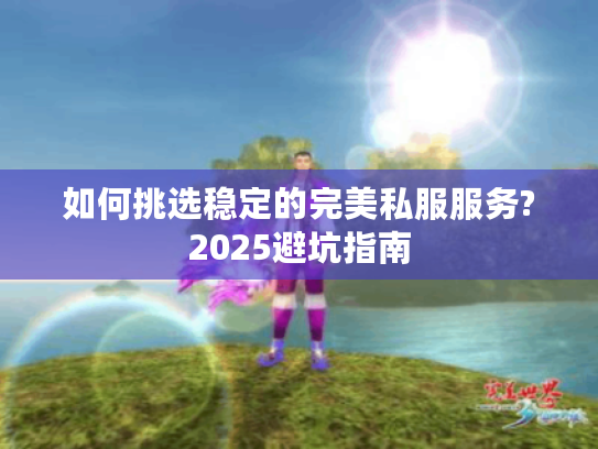 如何挑选稳定的完美私服服务?2025避坑指南
