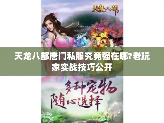 天龙八部唐门私服究竟强在哪?老玩家实战技巧公开