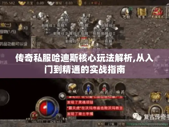 传奇私服哈迪斯核心玩法解析,从入门到精通的实战指南