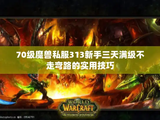 70级魔兽私服313新手三天满级不走弯路的实用技巧