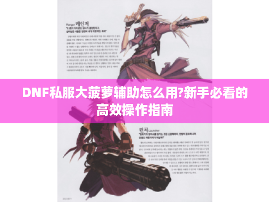 DNF私服大菠萝辅助怎么用?新手必看的高效操作指南