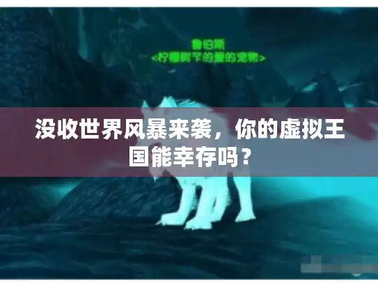 没收世界风暴来袭,你的虚拟王国能幸存吗? 没收世界风暴来袭,你的虚拟王国能幸存吗?