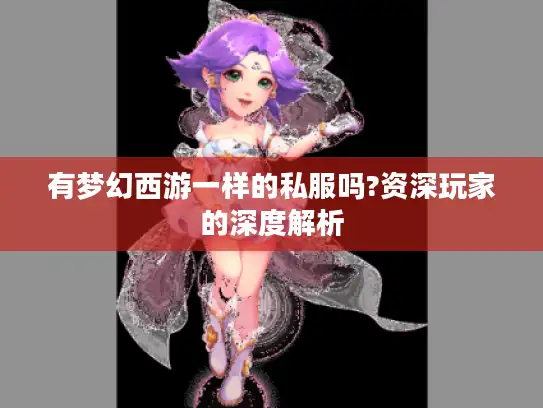 有梦幻西游一样的私服吗?资深玩家的深度解析