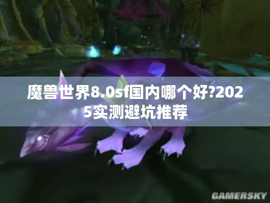 魔兽世界8.0sf国内哪个好?2025实测避坑推荐