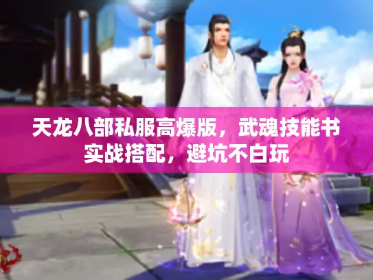 天龙八部私服高爆版，武魂技能书实战搭配，避坑不白玩