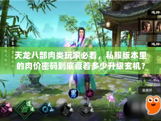 天龙八部肉类玩家必看，私服版本里的肉价密码到底藏着多少升级玄机？