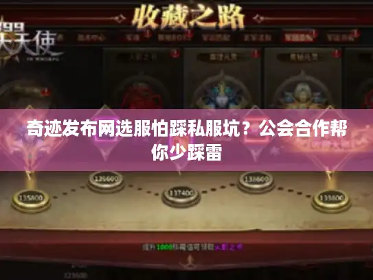 奇迹发布网选服怕踩私服坑？公会合作帮你少踩雷