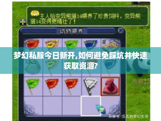 梦幻私服今日新开,如何避免踩坑并快速获取资源?