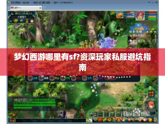 梦幻西游哪里有sf?资深玩家私服避坑指南