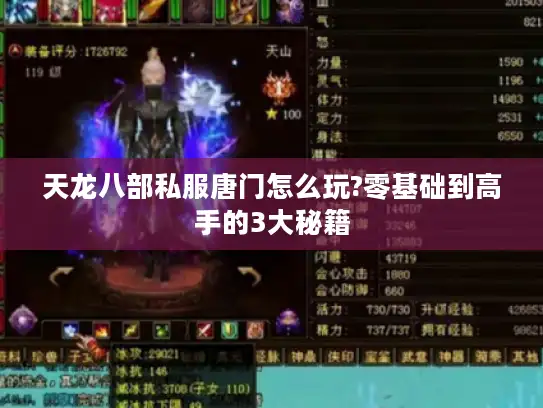 天龙八部私服唐门怎么玩?零基础到高手的3大秘籍 天龙八部私服唐门怎么玩?零基础到高手的3大秘籍
