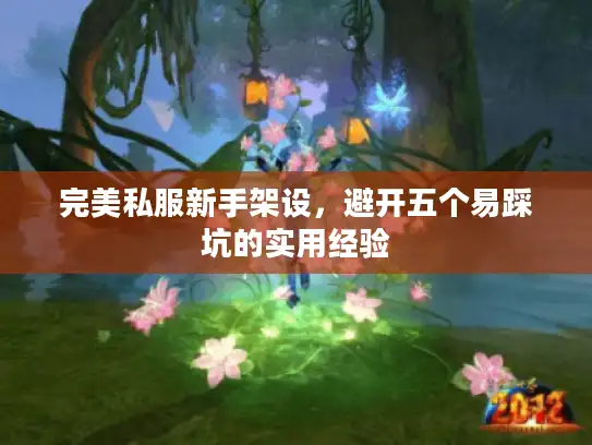 完美私服新手架设，避开五个易踩坑的实用经验