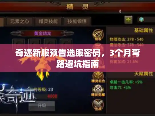 奇迹新服预告选服密码，3个月弯路避坑指南