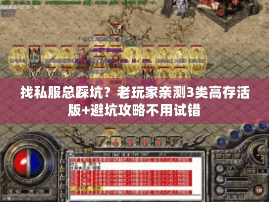 找私服总踩坑？老玩家亲测3类高存活版+避坑攻略不用试错