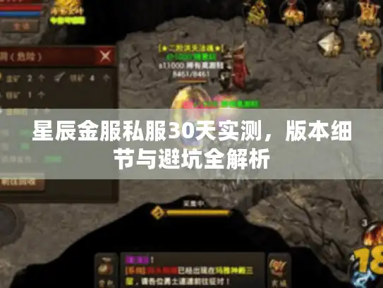 星辰金服私服30天实测，版本细节与避坑全解析