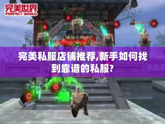 完美私服店铺推荐,新手如何找到靠谱的私服?