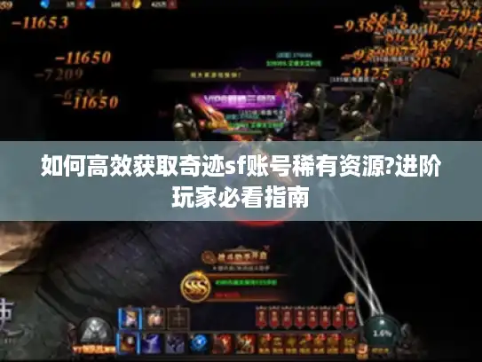 如何高效获取奇迹sf账号稀有资源?进阶玩家必看指南