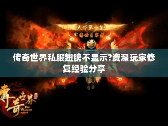 传奇世界私服翅膀不显示?资深玩家修复经验分享