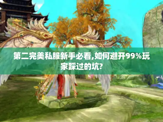 第二完美私服新手必看,如何避开99%玩家踩过的坑? 第二完美私服新手必看,如何避开99%玩家踩过的坑?