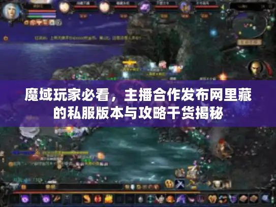 魔域玩家必看，主播合作发布网里藏的私服版本与攻略干货揭秘