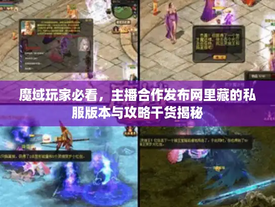 魔域玩家必看，主播合作发布网里藏的私服版本与攻略干货揭秘