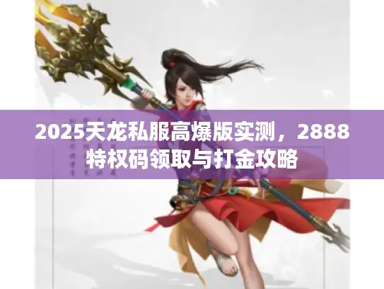 2025天龙私服高爆版实测，2888特权码领取与打金攻略