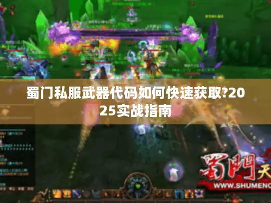 蜀门私服武器代码如何快速获取?2025实战指南