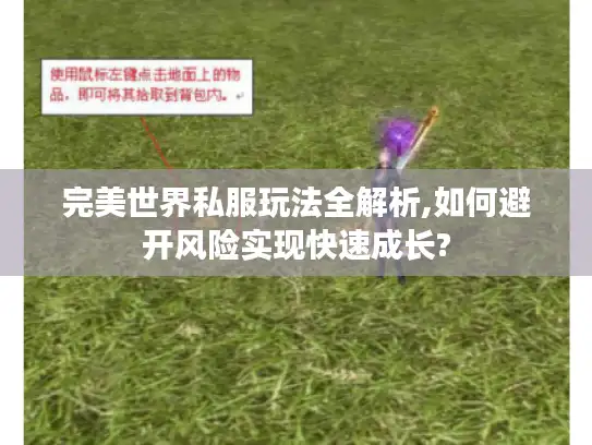 完美世界私服玩法全解析,如何避开风险实现快速成长? 完美世界私服玩法全解析,如何避开风险实现快速成长?