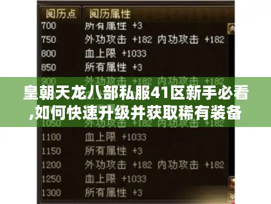 皇朝天龙八部私服41区新手必看,如何快速升级并获取稀有装备?