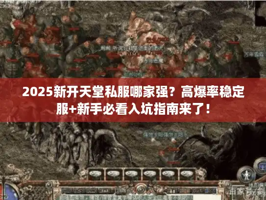 2025新开天堂私服哪家强？高爆率稳定服+新手必看入坑指南来了！