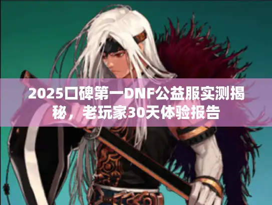 2025口碑第一DNF公益服实测揭秘，老玩家30天体验报告