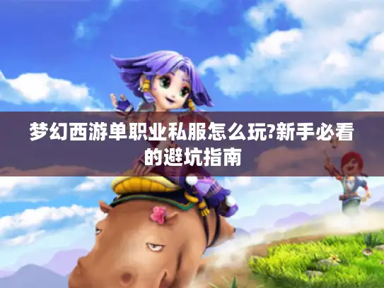 梦幻西游单职业私服怎么玩?新手必看的避坑指南 梦幻西游单职业私服怎么玩?新手必看的避坑指南