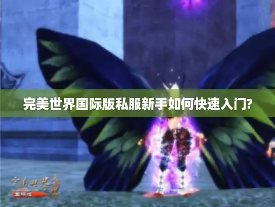 完美世界国际版私服新手如何快速入门?