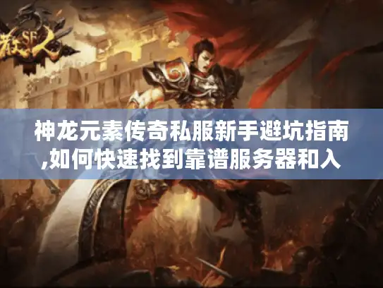 神龙元素传奇私服新手避坑指南,如何快速找到靠谱服务器和入门资源