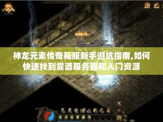 神龙元素传奇私服新手避坑指南,如何快速找到靠谱服务器和入门资源