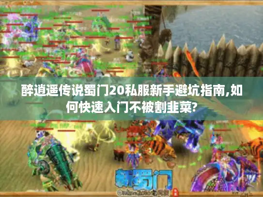 醉逍遥传说蜀门20私服新手避坑指南,如何快速入门不被割韭菜?