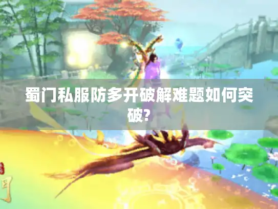 蜀门私服防多开破解难题如何突破? 蜀门私服防多开破解难题如何突破?