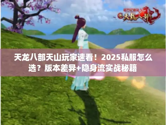 天龙八部天山玩家速看!2025私服怎么选?版本差异+隐身流实战秘籍 天龙八部天山玩家速看!2025私服怎么选?版本差异+隐身流实战秘籍
