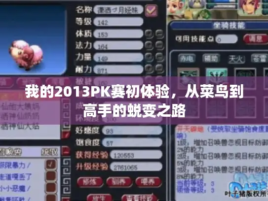 我的2013PK赛初体验，从菜鸟到高手的蜕变之路