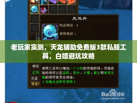 老玩家实测，天龙辅助免费版3款私服工具，白嫖避坑攻略