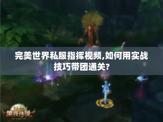 完美世界私服指挥视频,如何用实战技巧带团通关?
