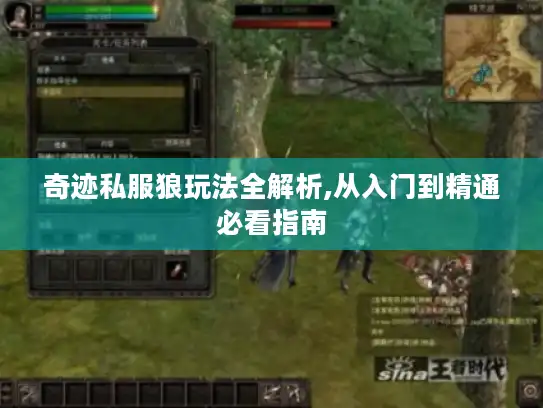 奇迹私服狼玩法全解析,从入门到精通必看指南 奇迹私服狼玩法全解析,从入门到精通必看指南