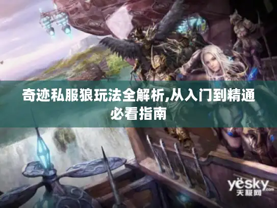 奇迹私服狼玩法全解析,从入门到精通必看指南 奇迹私服狼玩法全解析,从入门到精通必看指南