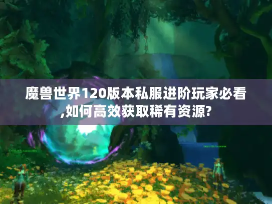 魔兽世界120版本私服进阶玩家必看,如何高效获取稀有资源?