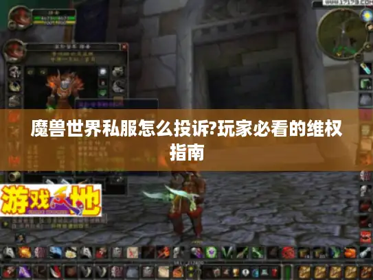 魔兽世界私服怎么投诉?玩家必看的维权指南